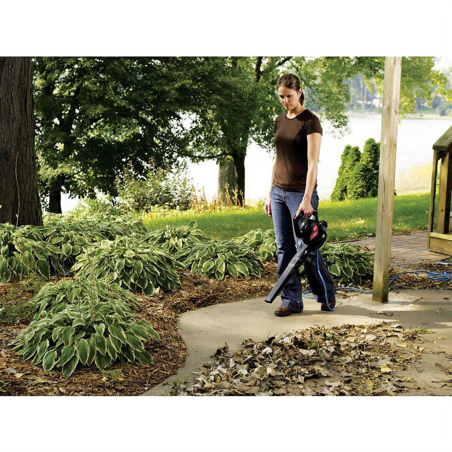 Toro Power Sweep 51585