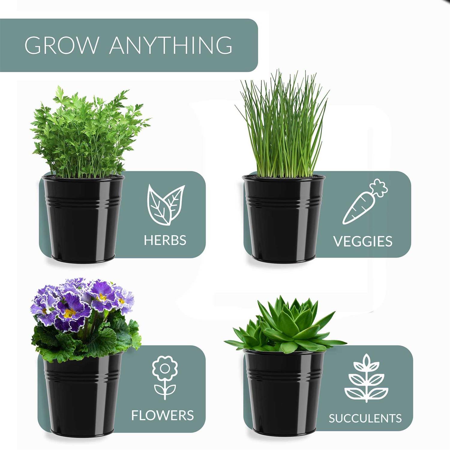 Barnyard Designs Herb Planter Set with Tray Indoor Garden or Outdoor