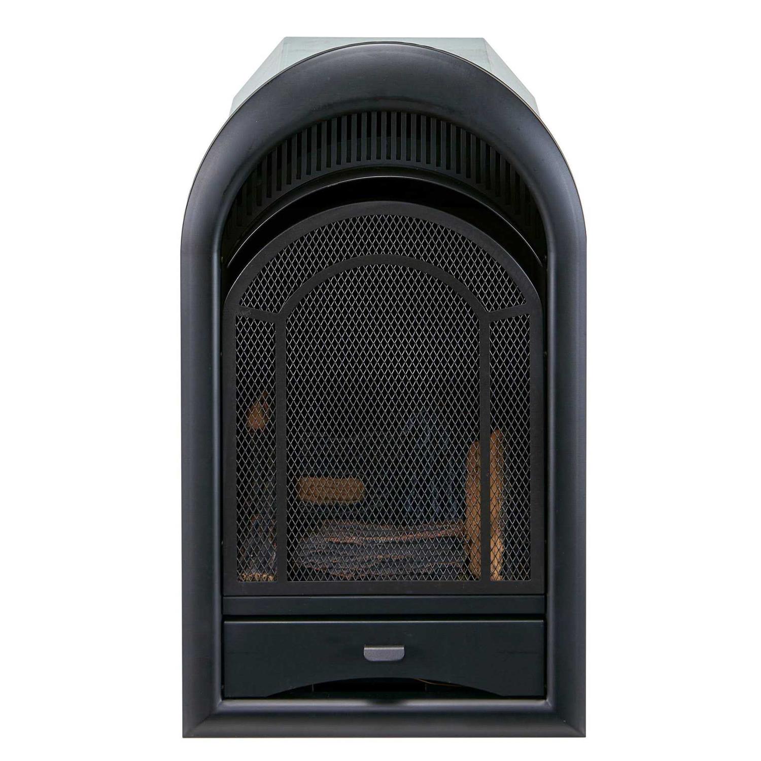 ProCom Ventless Fireplace Insert Thermostat Control Arched Door