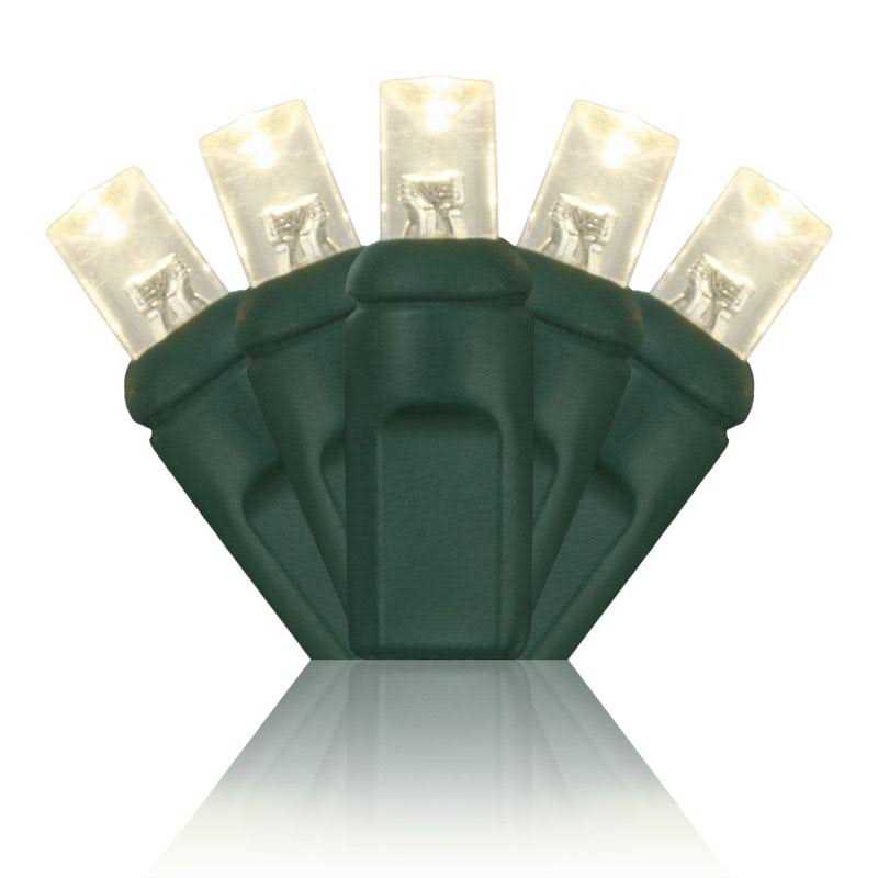 Wintergreen Lighting 70 Christmas LED Lights