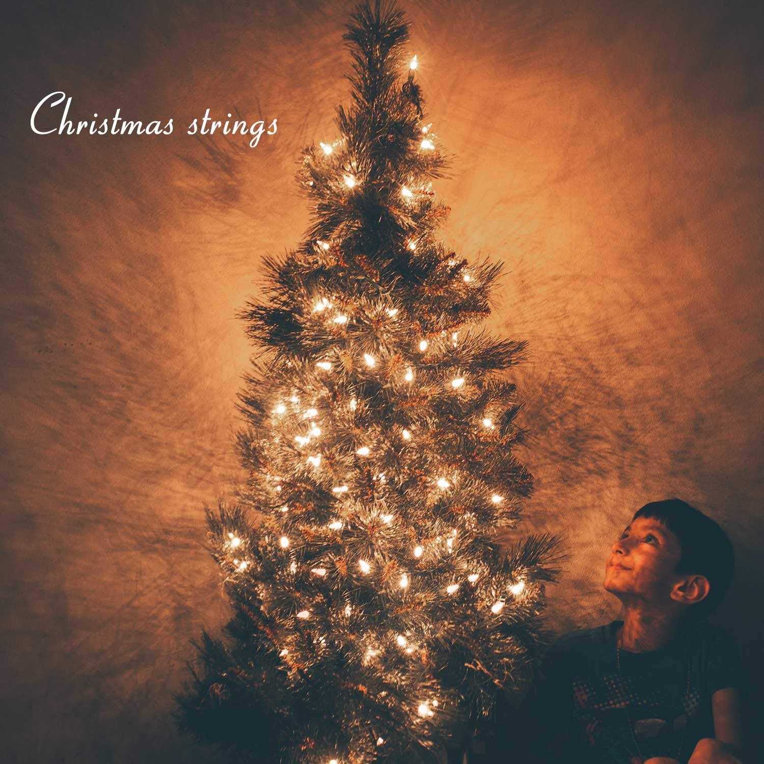 Brightown 25 Pack C7 Christmas Replacement Light Bulbs C7 Clear Incandescent Bulb for Christmas String Light