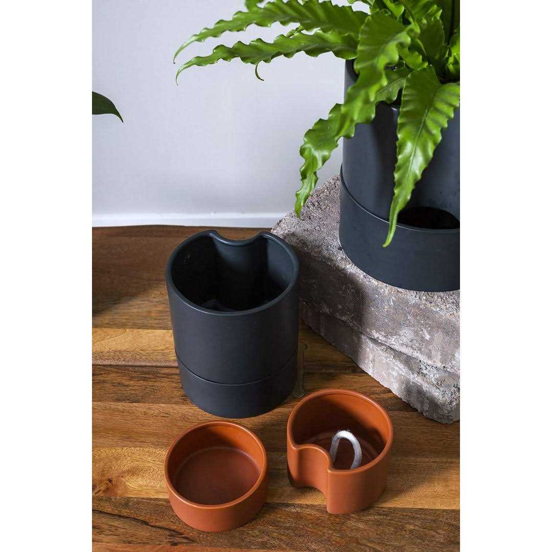 AllModern Patti Self-Watering Ceramic Pot Planter