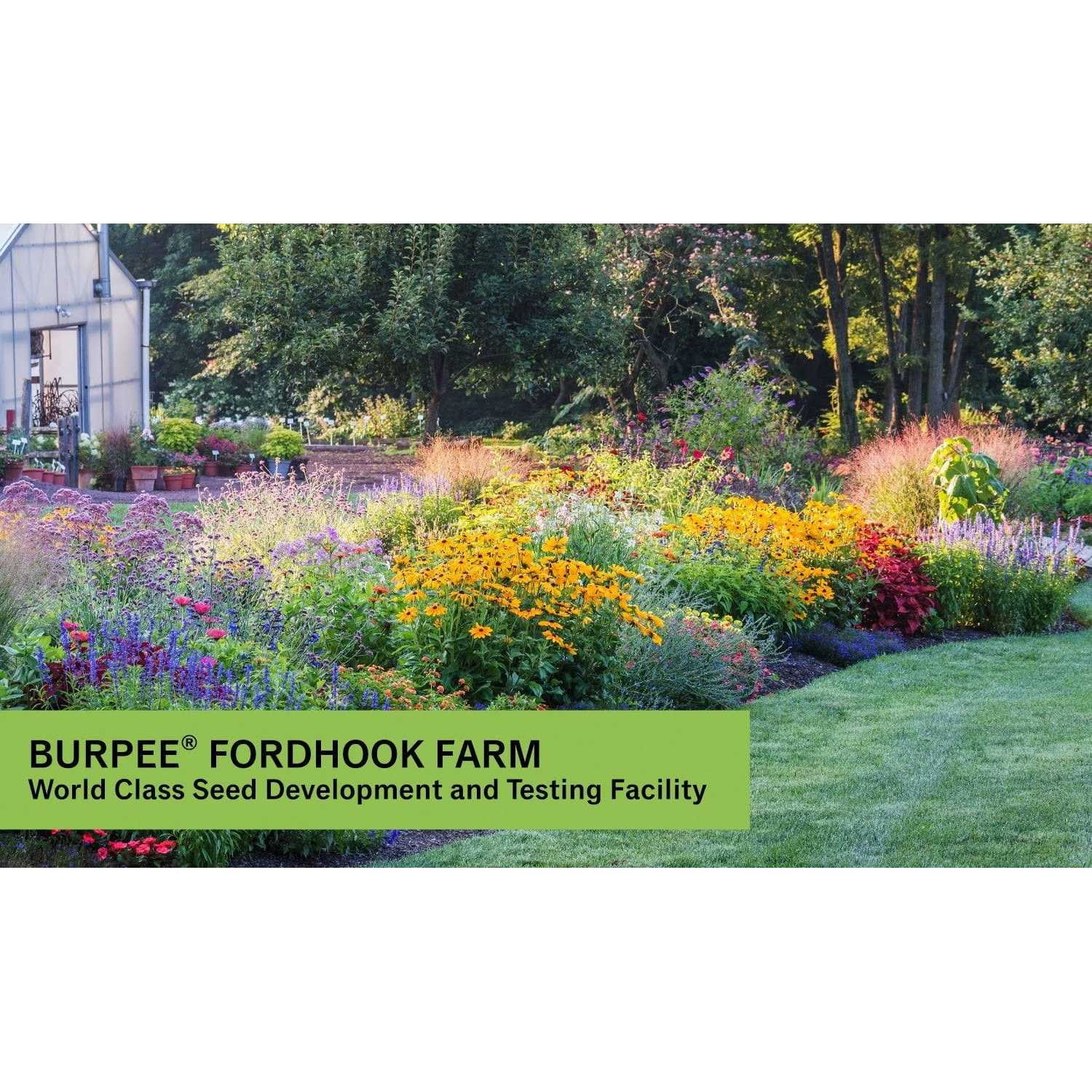 Burpee Organic Bone Meal Fertilizer