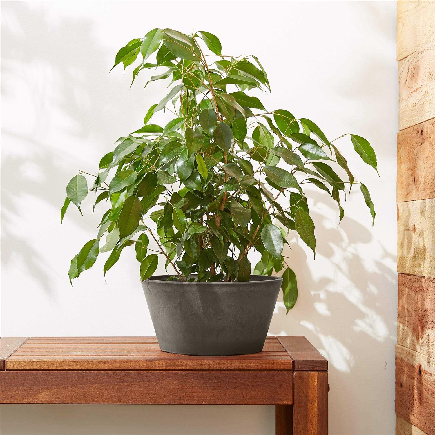 Arcadia Garden Products Sleek 10 in. x 5