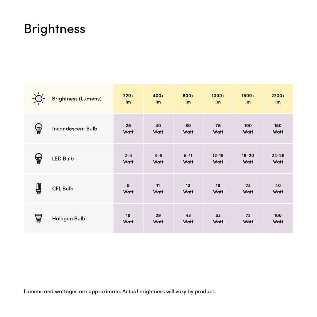 Wintergreen Lighting G80 120V LEDimagine TM Fairy Light Bulb