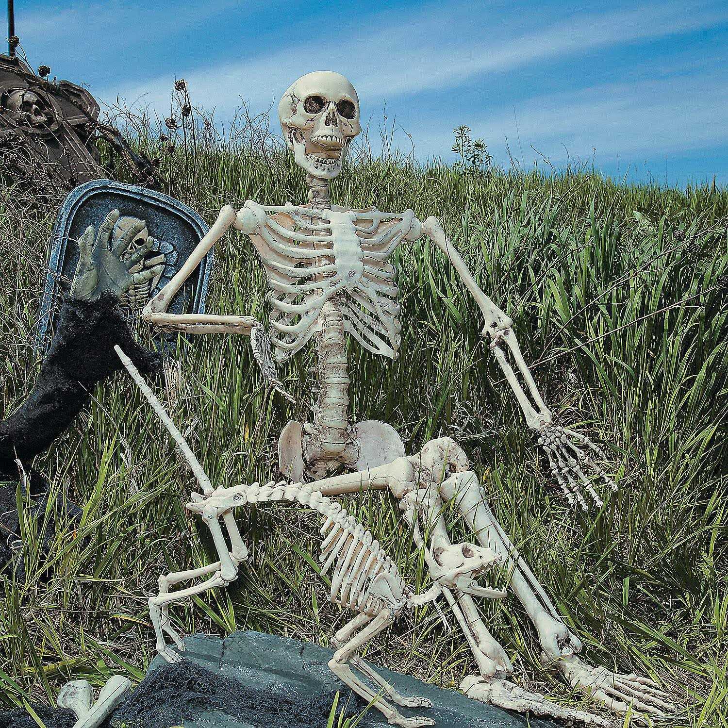 5 Ft Life-Size Posable Skeleton Halloween Decoration