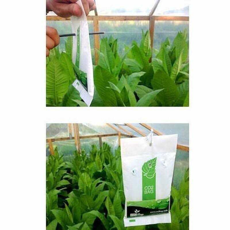 CO2 BAG -CO2 for indoor growing. Small, effective and affordable