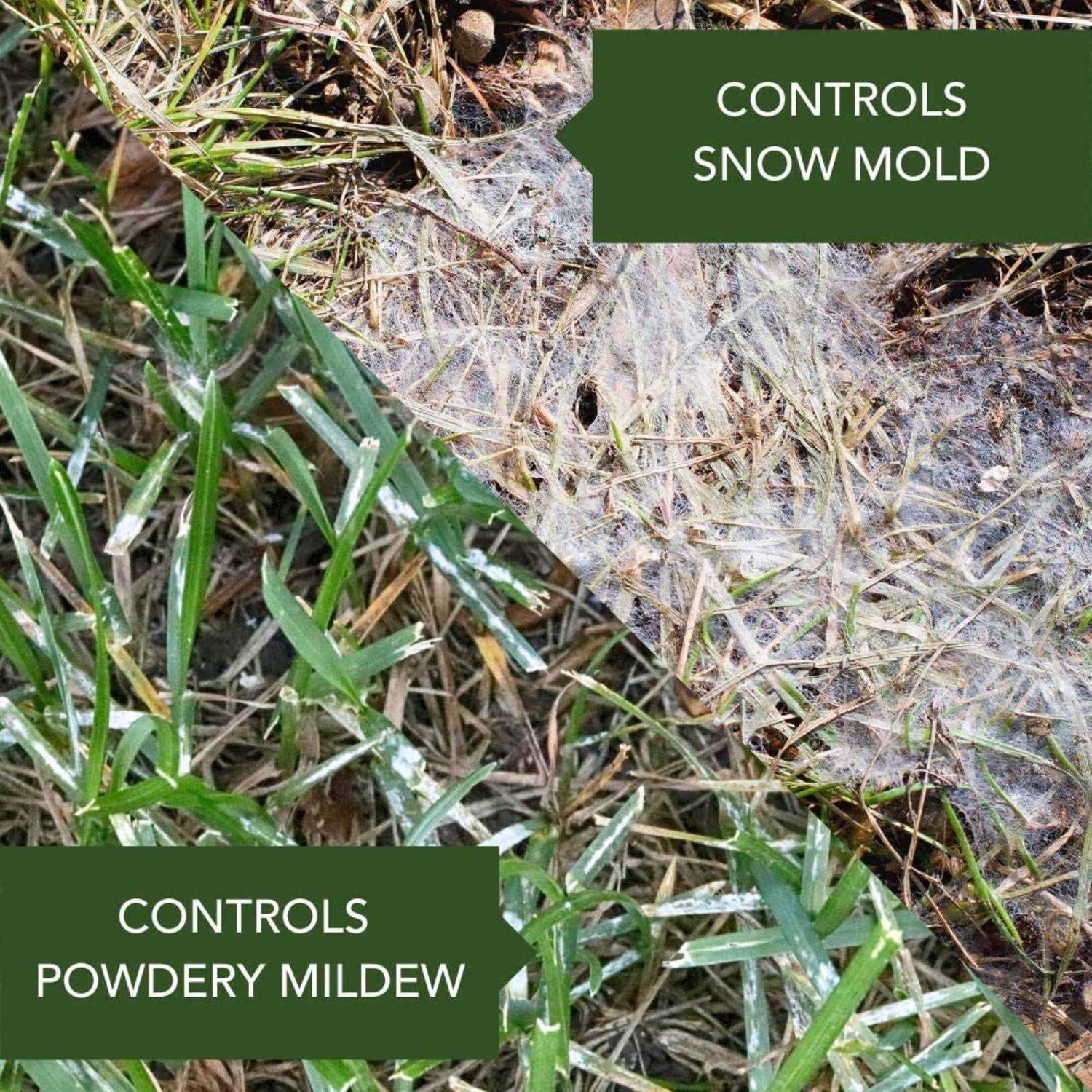 BioAdvanced Fungus Control For Lawns