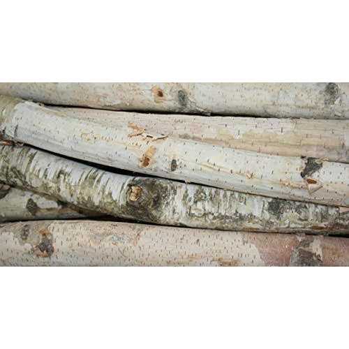 Wilson Decorative White Birch Logs Natural Bark Wood Home Dcor