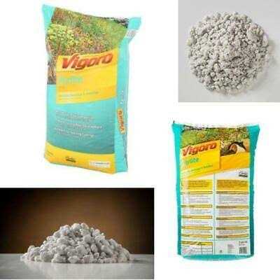 Vigoro 2 Cu. Ft. Organic Perlite Soil Amendment