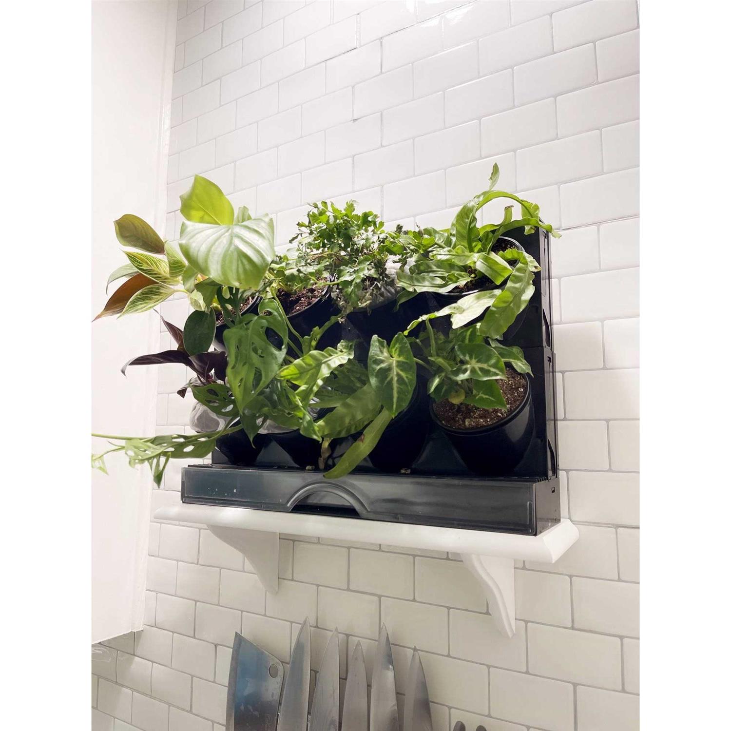 Watex Countertop Garden Kit