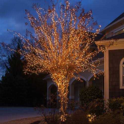 35 Clear Mini Lights