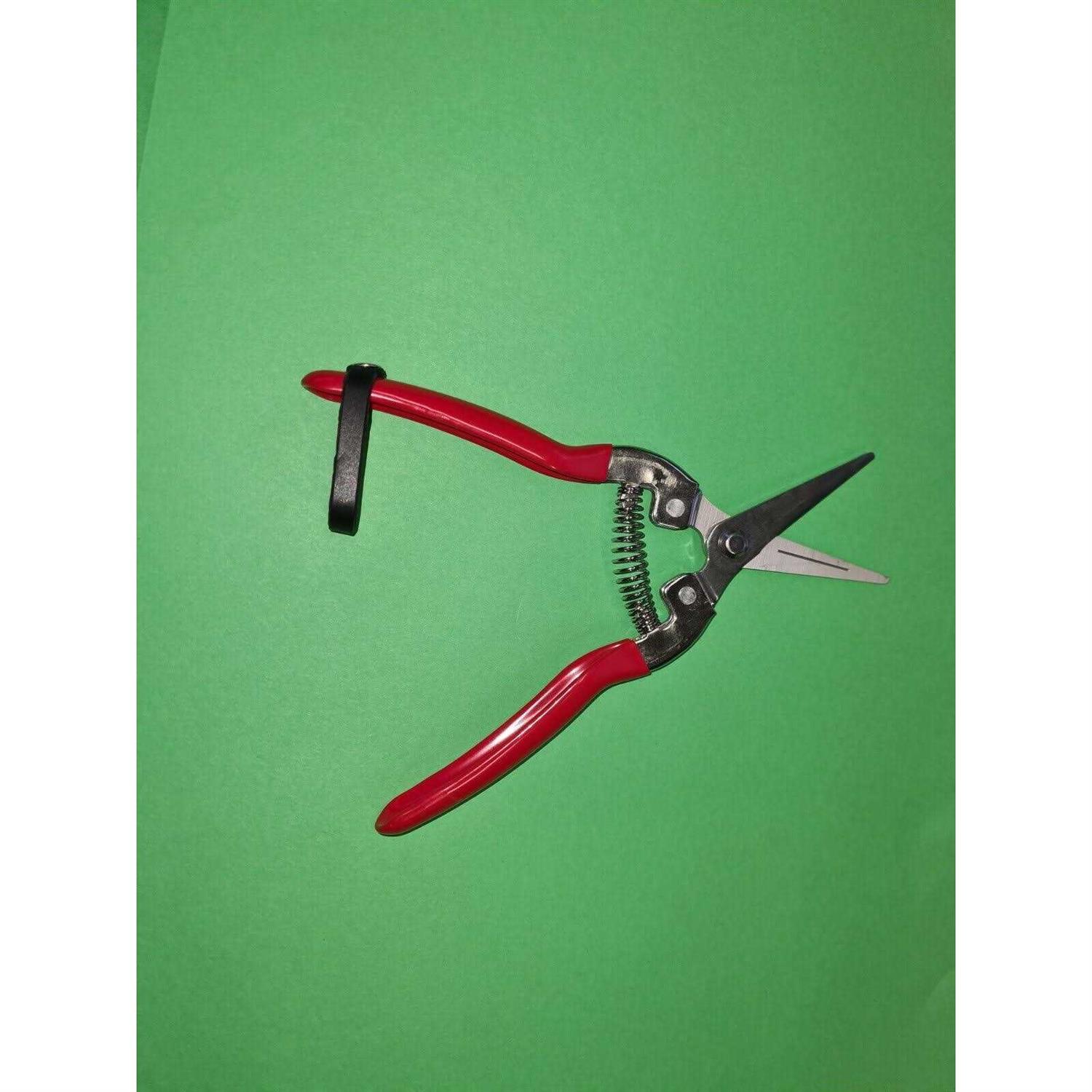 ARS Fruit Pruners 300L