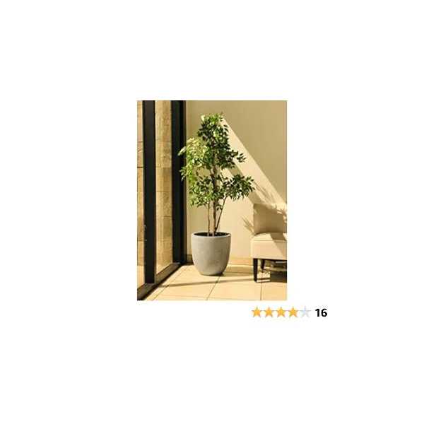 10 in. W Round Slate Gray Concrete/Fiberglass Indoor Outdoor Elegant Planter