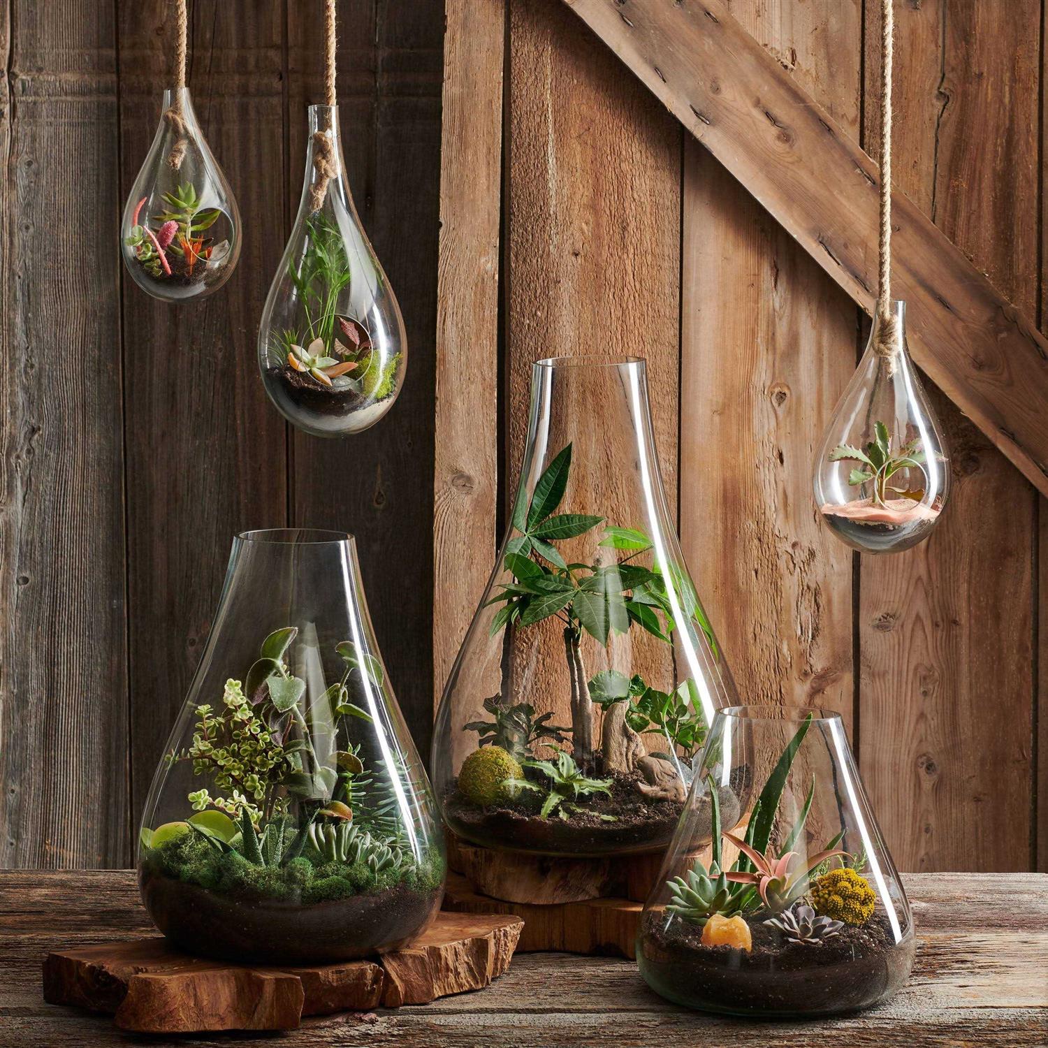 texxture Boboli Glass Terrarium