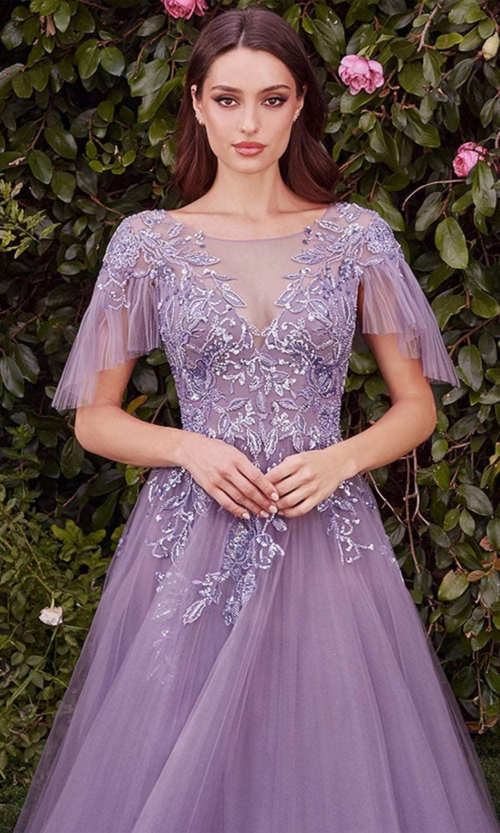 Flutter Sleeve Tulle Evening Gown