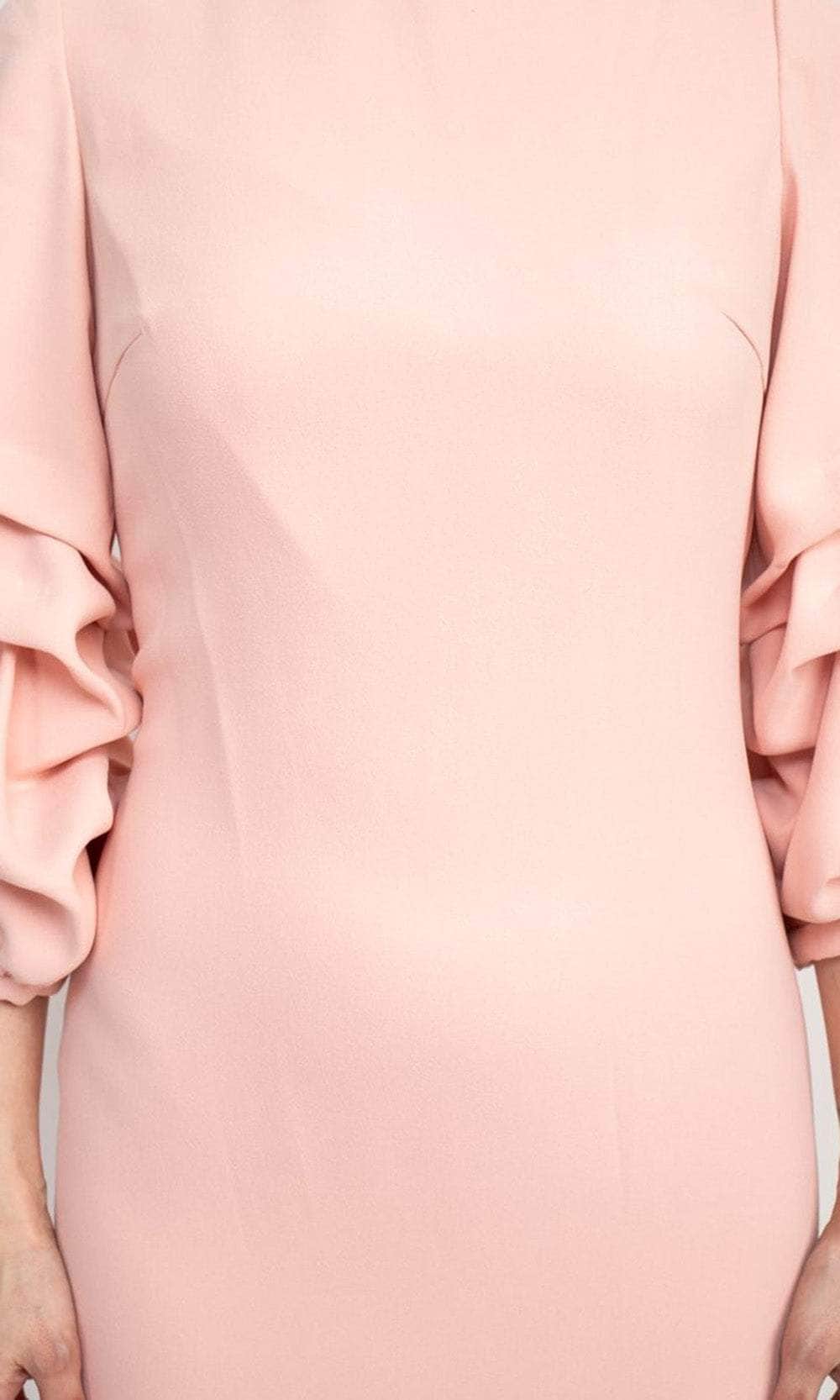 Ruffle Sleeve Formal Dress