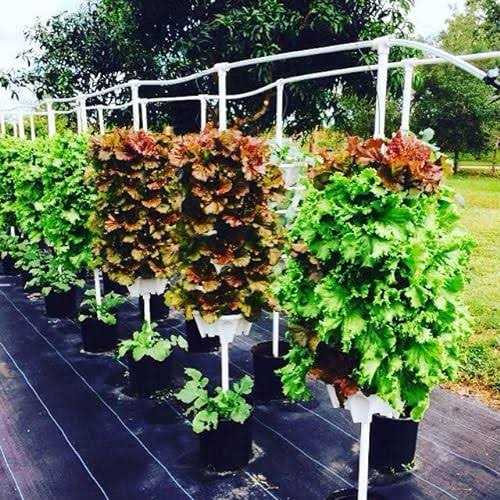 5-Tier Stackable Strawberry Garden – 24 Quart Indoor/Outdoor Stacking Planter with Drip Saucer – Grow Herbs, Strawberries, and Flowers from The