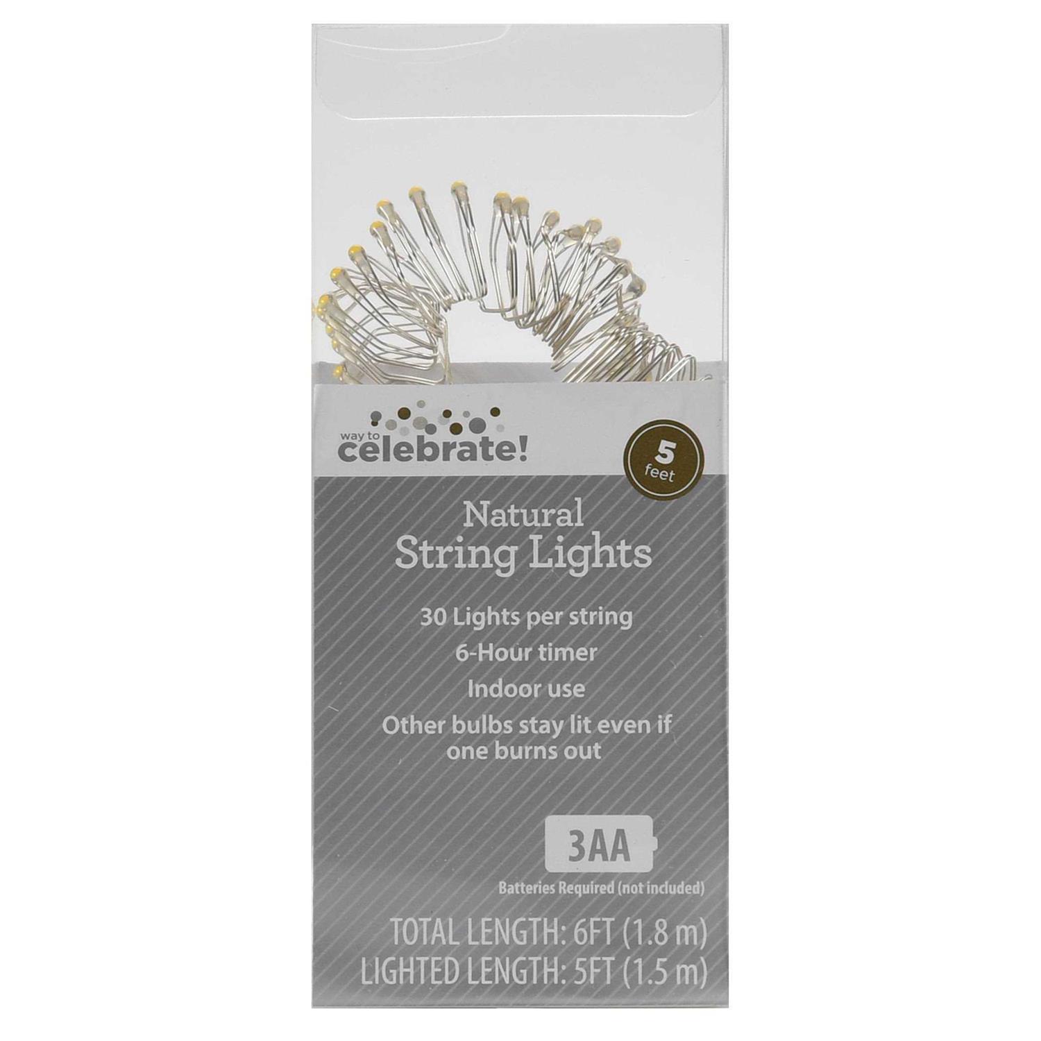 Way to Celebrate 5′ White LED String