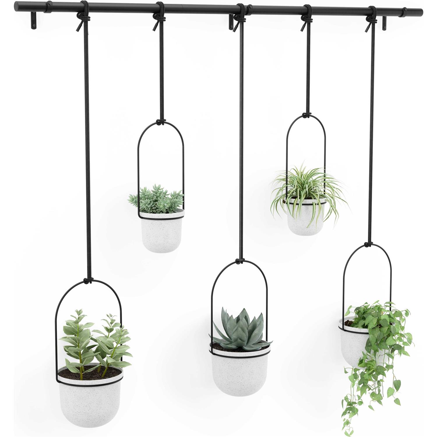 Umbra Triflora Hanging Planter