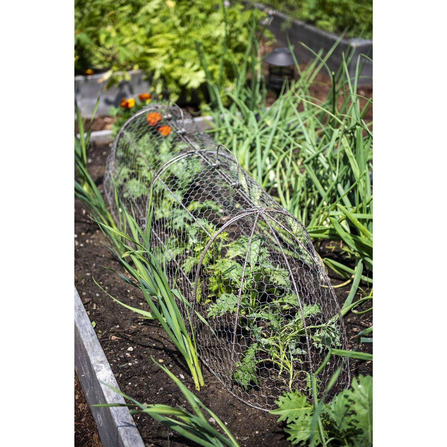 Chicken Wire Row Cloche Mid-section