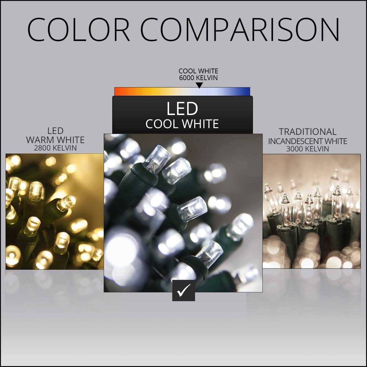 Wintergreen Lighting 70 Christmas LED Lights