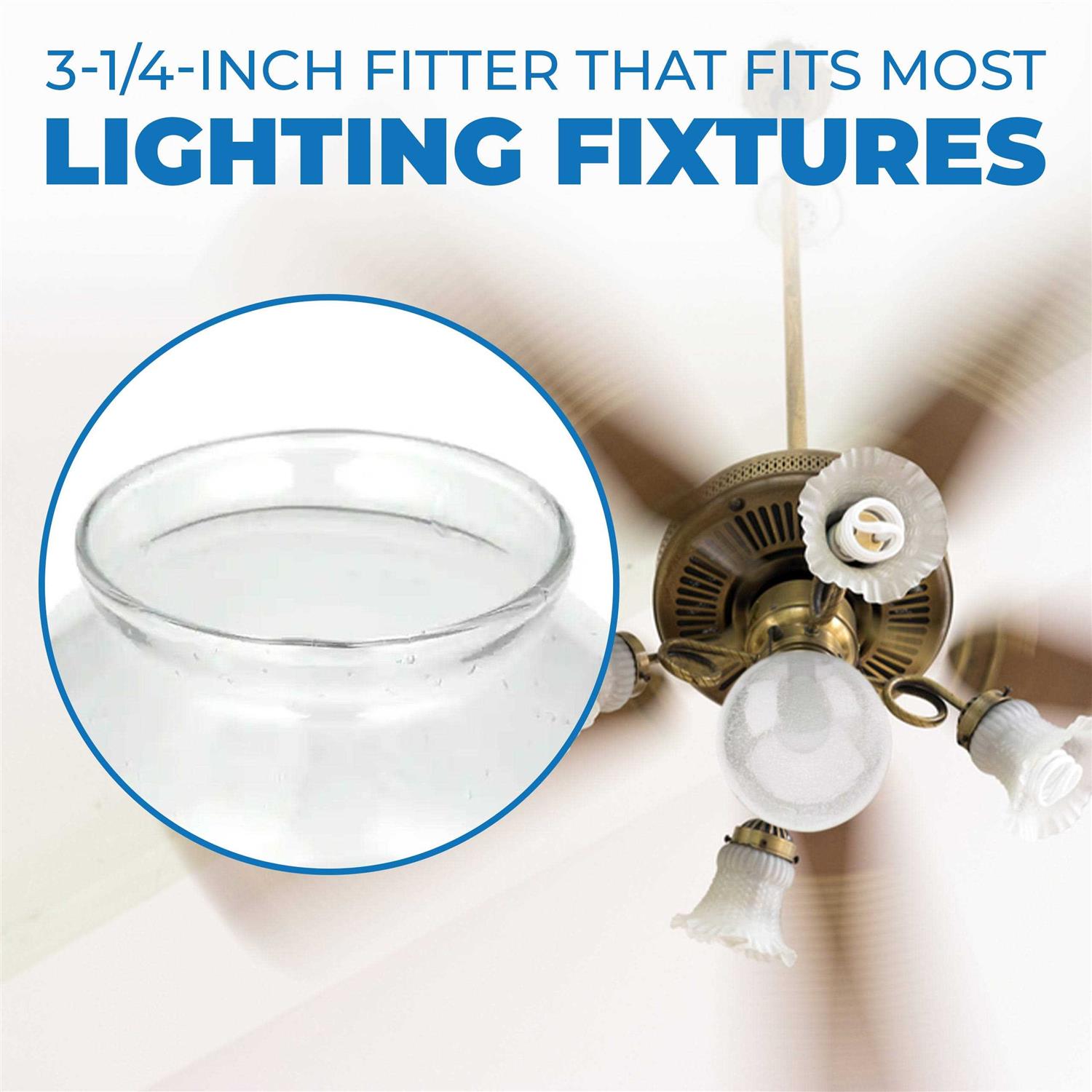 Westinghouse 81560 8156000 Clear Seeded Globe