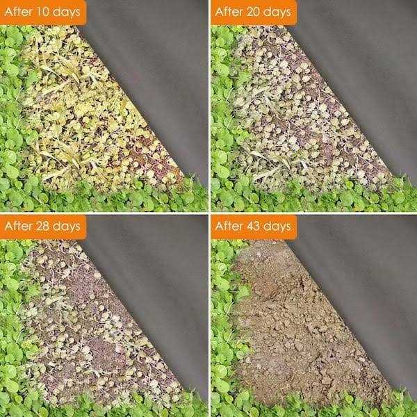 Agfabric Landscape Ground Cover Woven Weed Barrier