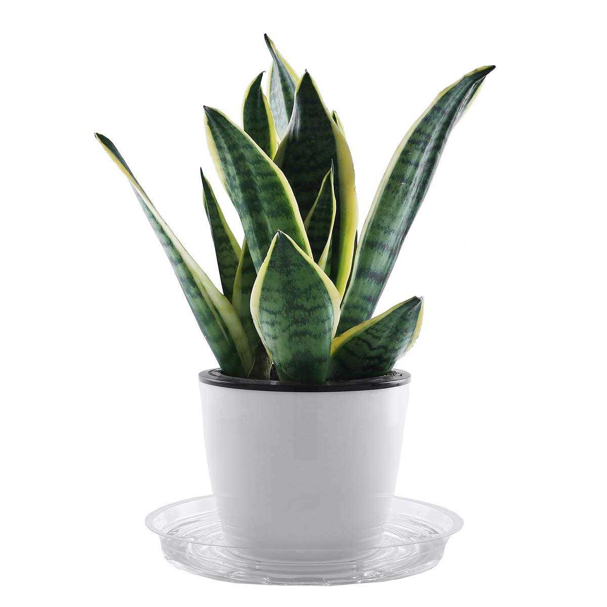 UltraOutlet 20 Pack Clear Plastic Plant Saucer Drip Trays Plant Plate Dish for Indoor Flower Pots and Planters