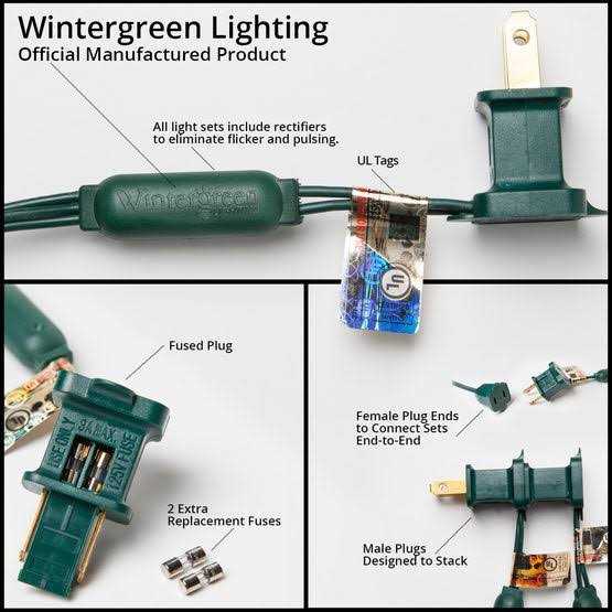 Wintergreen Lighting 25 LED Christmas Lights