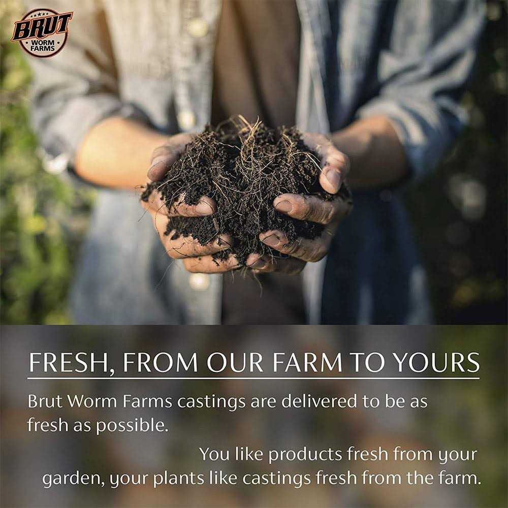 Brut Worm Farms Organic Worm Castings Soil Builder