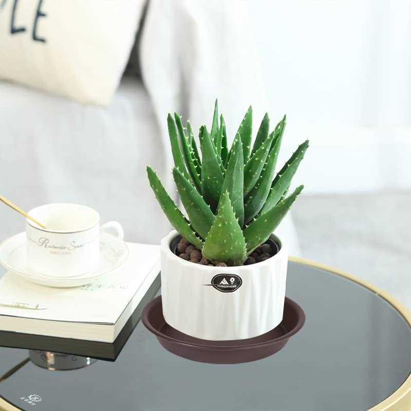 Angde 6 Pack Plant Saucer Plant Round