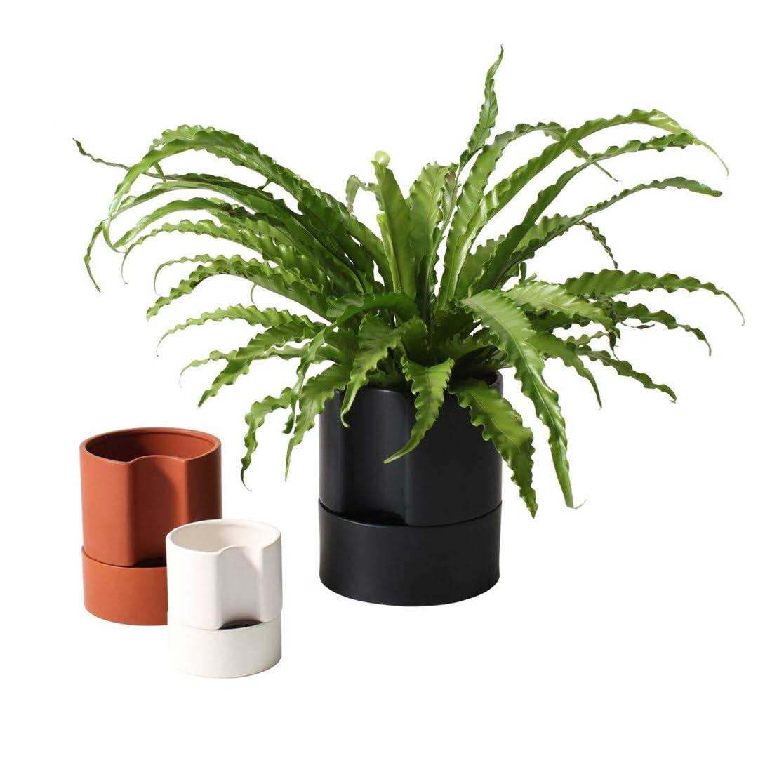 AllModern Patti Self-Watering Ceramic Pot Planter