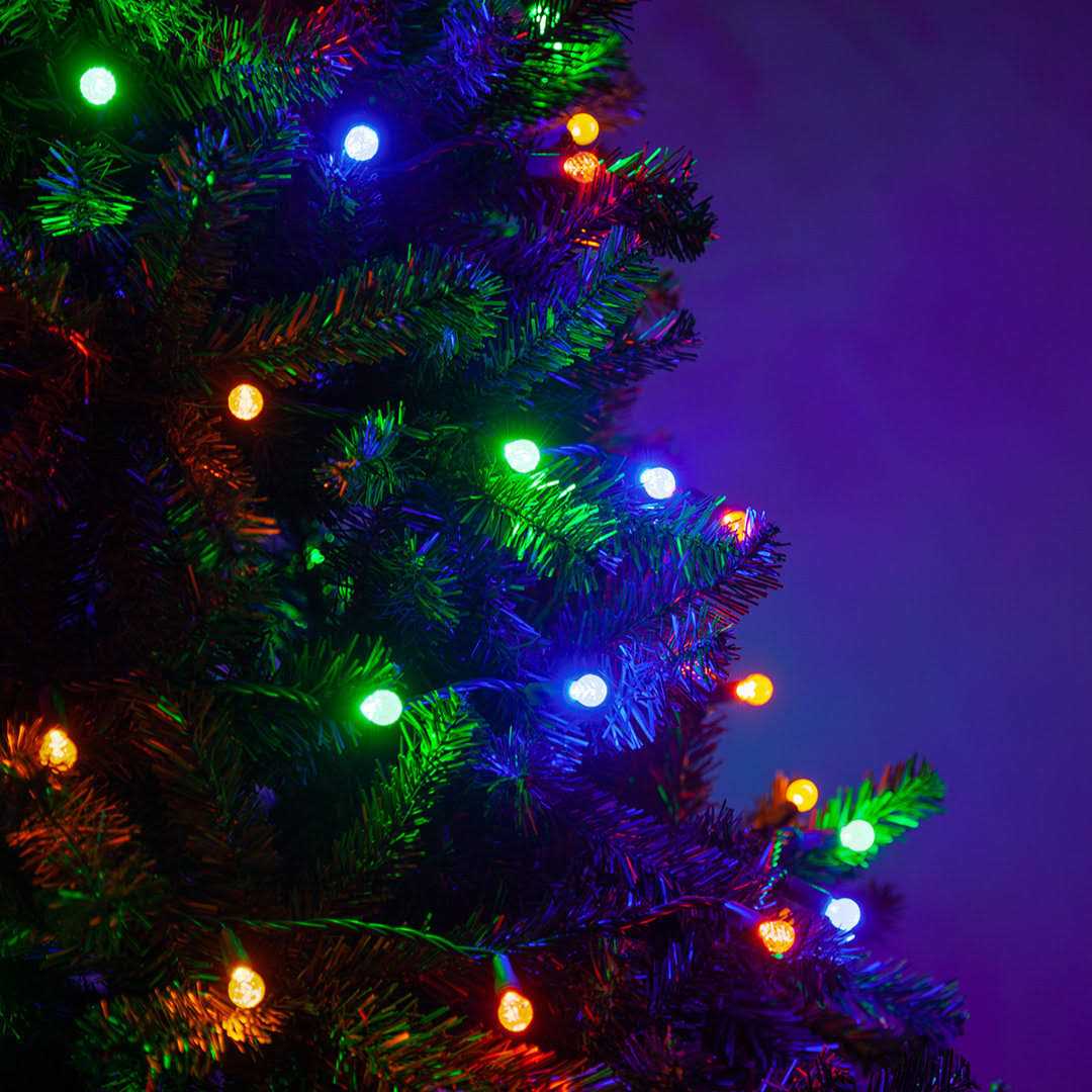 Wintergreen Lighting 70 Light String LED Lights