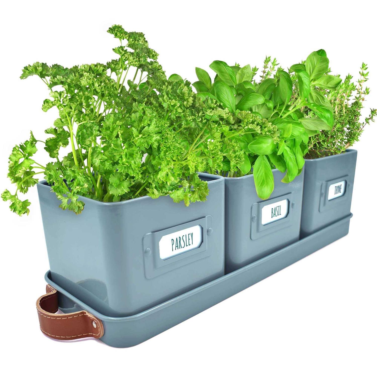 volila Window Herb Garden Planter Indoor Window Herb Planter Pots for Indoor Plants with Leather Handles and Labels