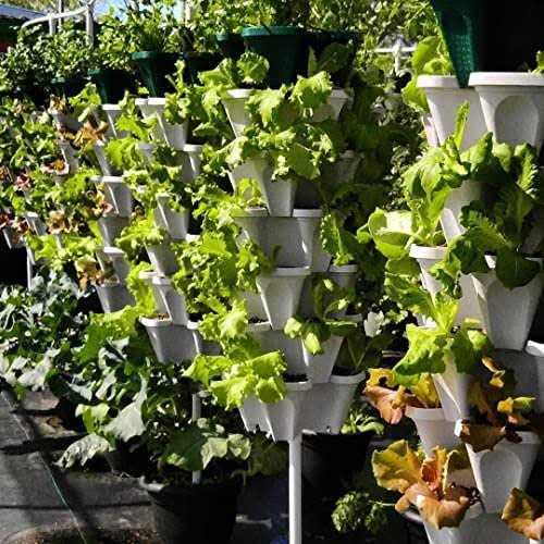 5-Tier Stackable Strawberry Garden – 24 Quart Indoor/Outdoor Stacking Planter with Drip Saucer – Grow Herbs, Strawberries, and Flowers from The