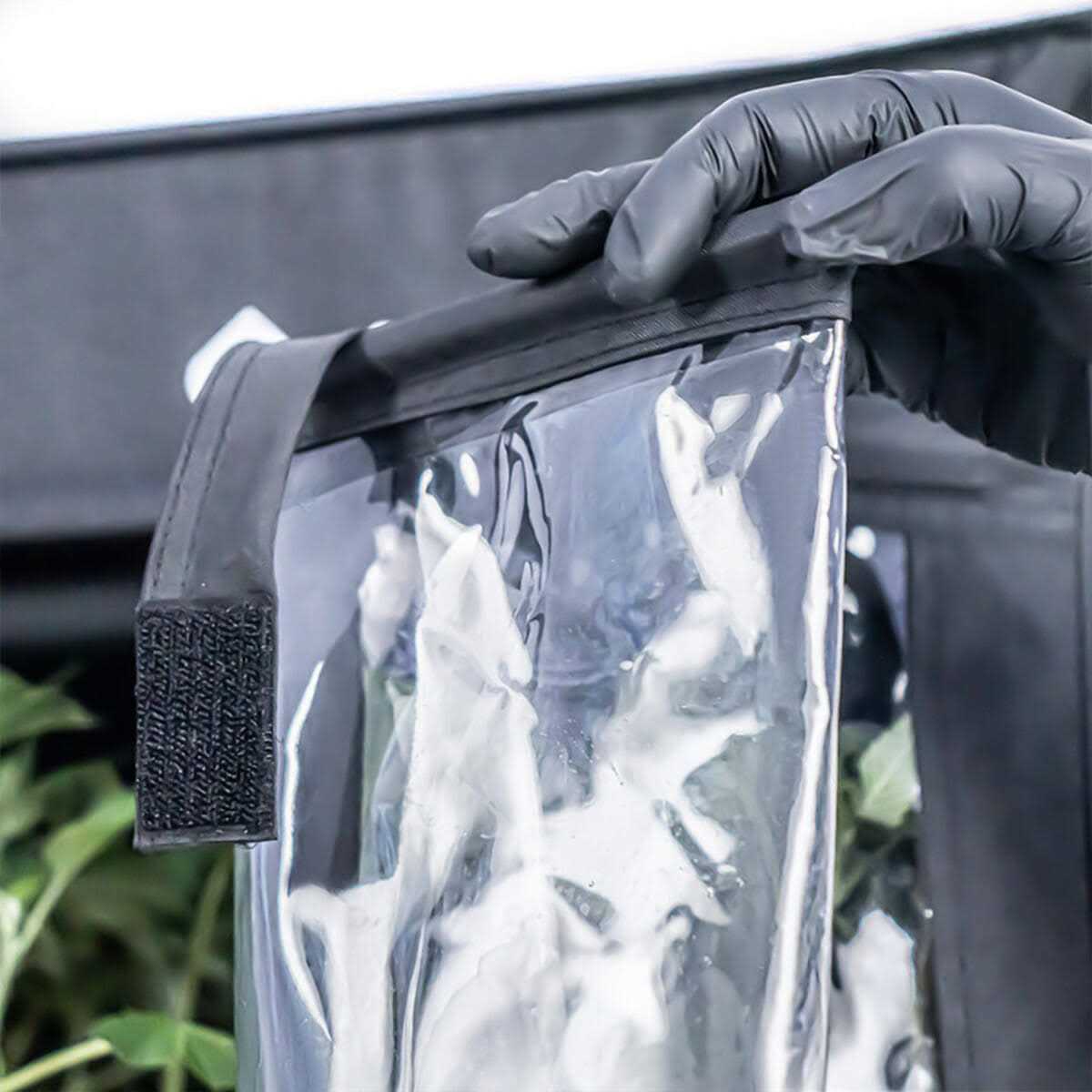 Athena Culture VPDome