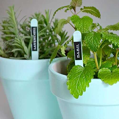 Brother P Touch PT D210 Label Maker