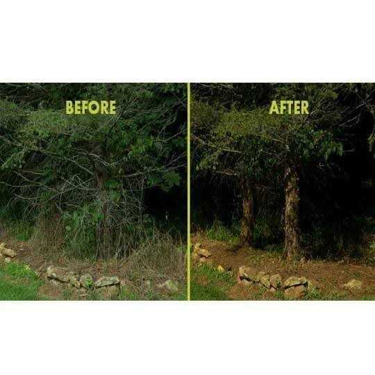 Sun Joe Multi-Angle Electric Multi-Angle Pole Chain Saw