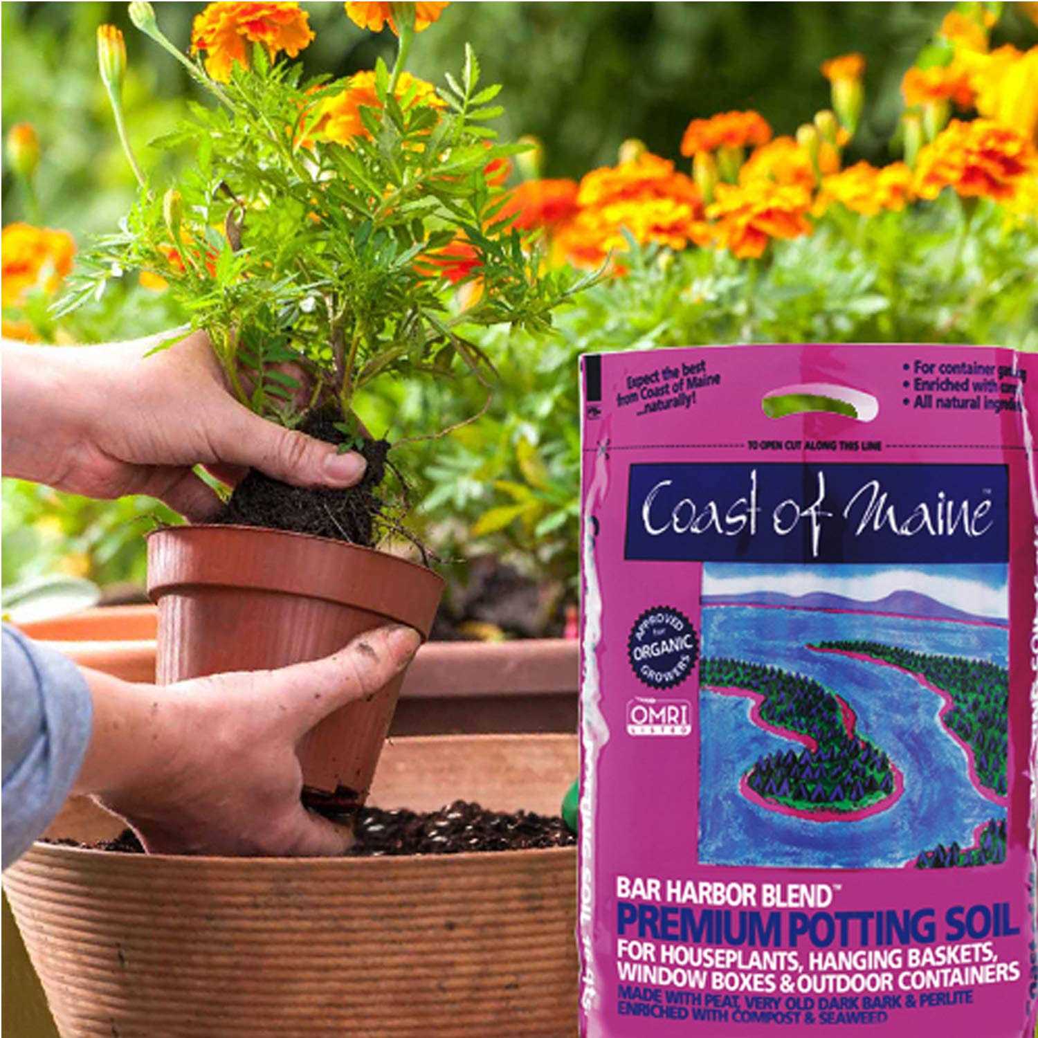 Coast of Maine Bar Harbor Blend Potting Soil