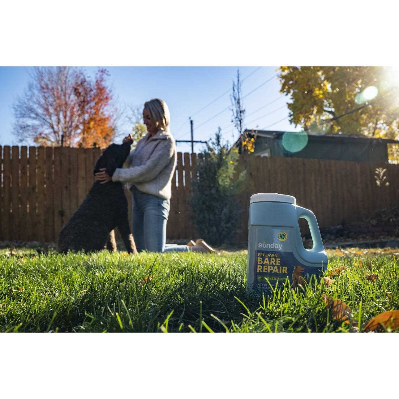 Sunday Pet Lawn Bare Repair Grass