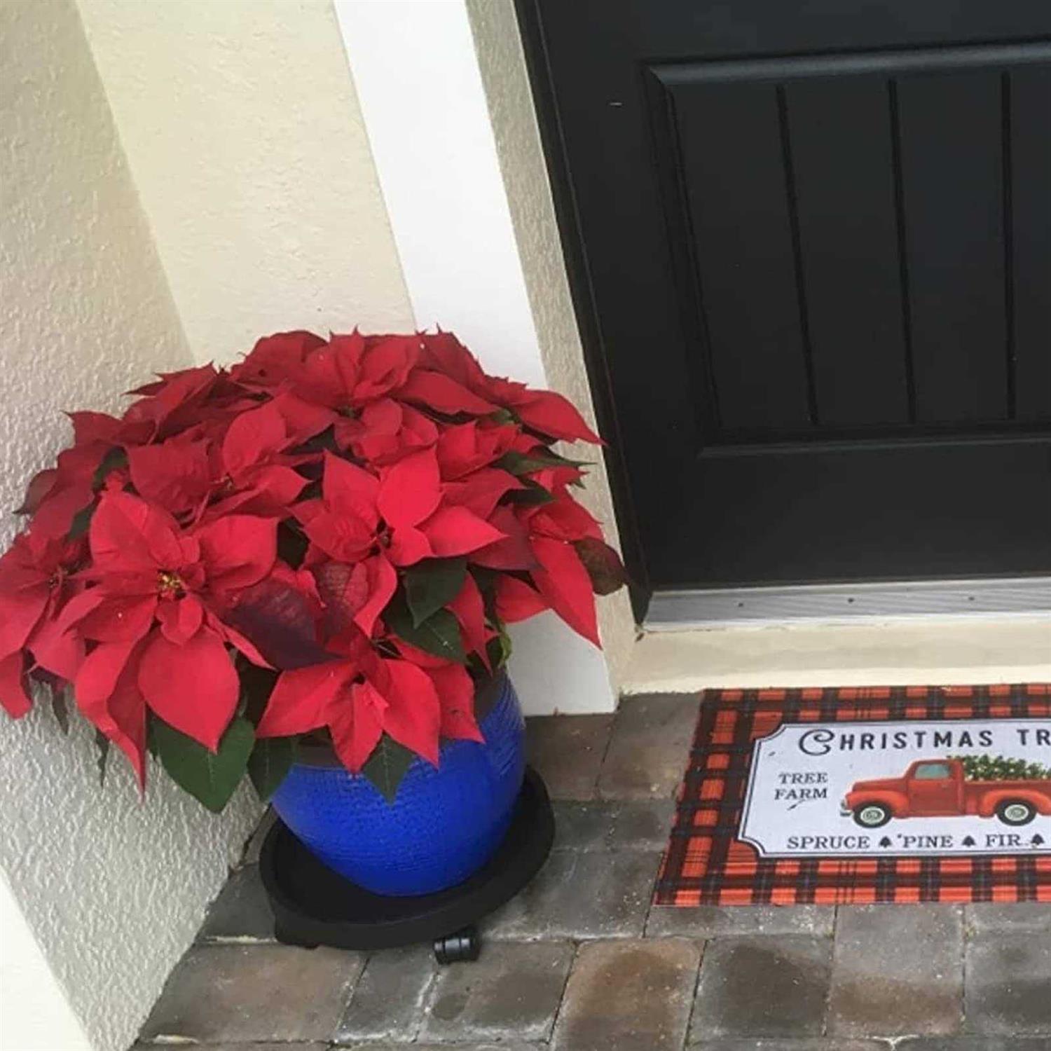 WanderingDonkey 2 Pack of 11 Inch Heavy Duty Plant Caddy with Wheels,Rolling Plant Stand Pot Trolley,Wheeled Planter Saucer Tray,Potted Flower Mover Dolly w