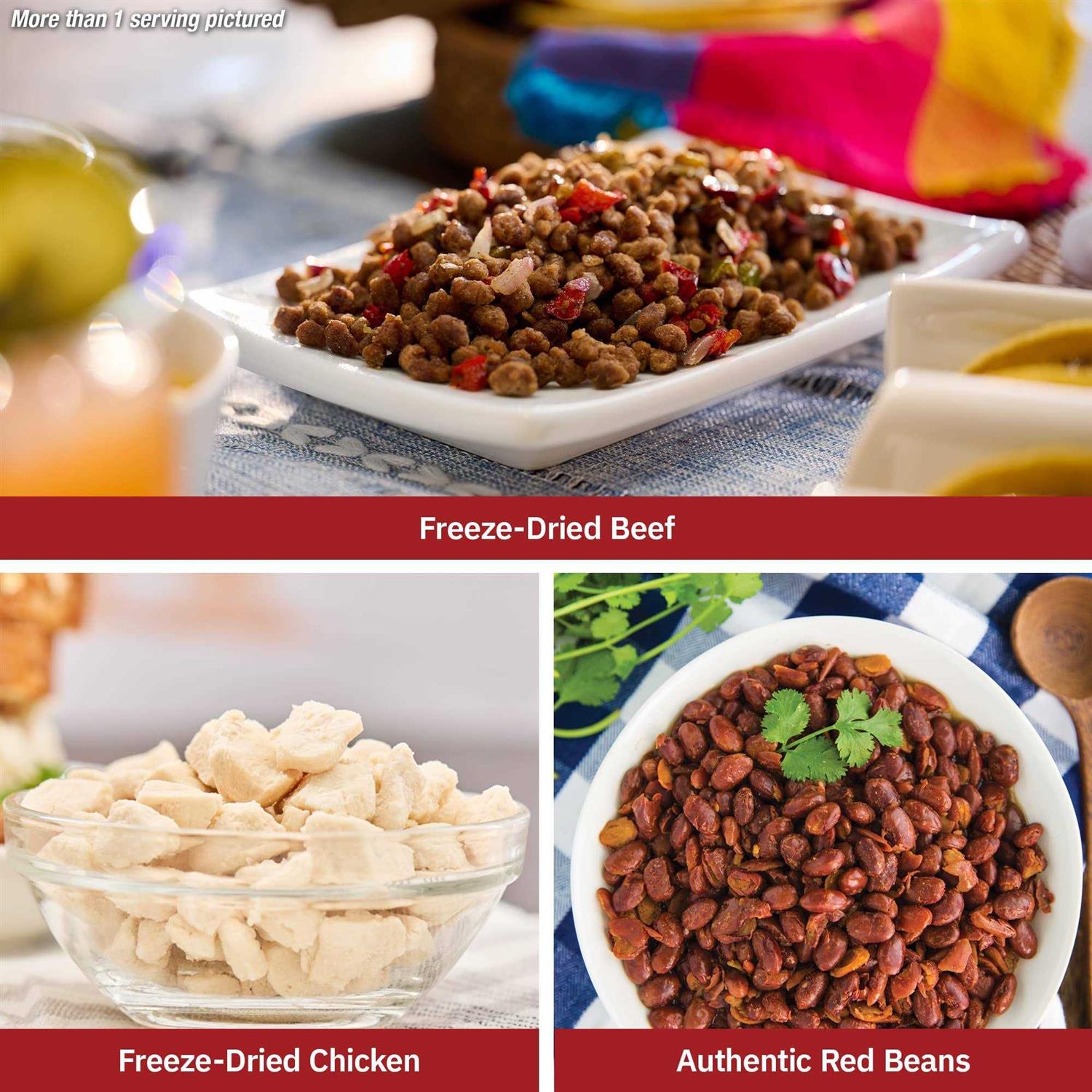 4Patriots Meat & Protein Survival Kit Emergency Food Supply Freeze-Dried Meat