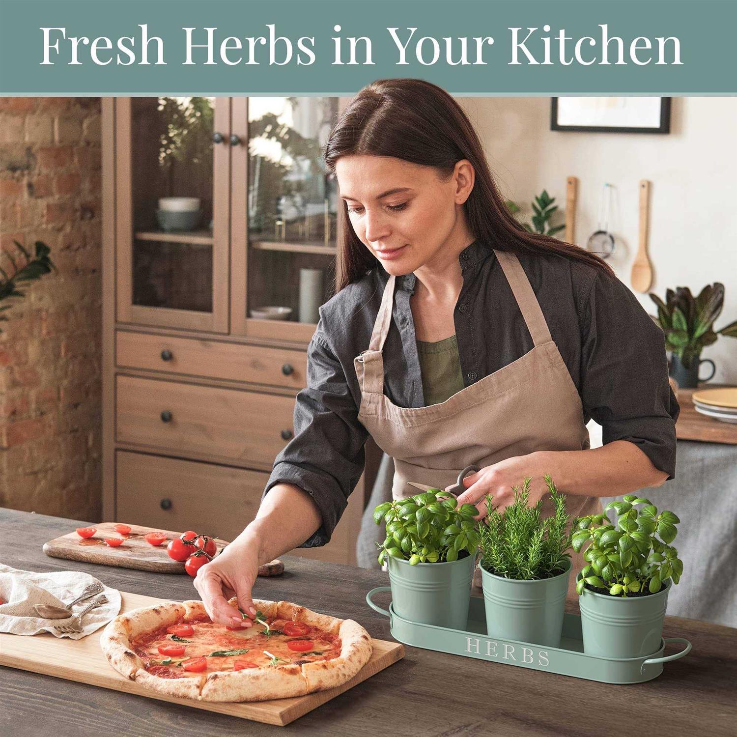 Barnyard Designs Herb Planter Set with Tray Indoor Garden or Outdoor