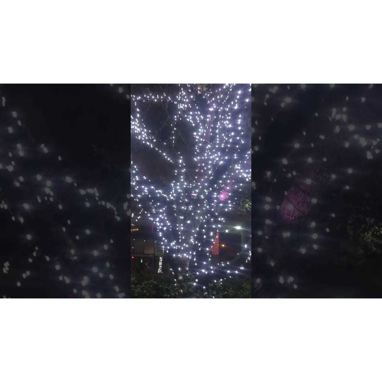 5mm LED Strobe Lights Dazzle