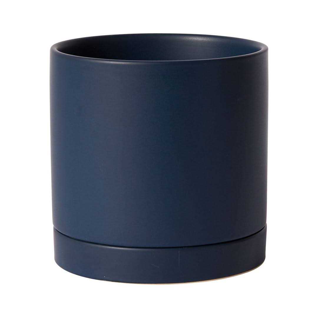AllModern Carlotta Ceramic Pot Planter