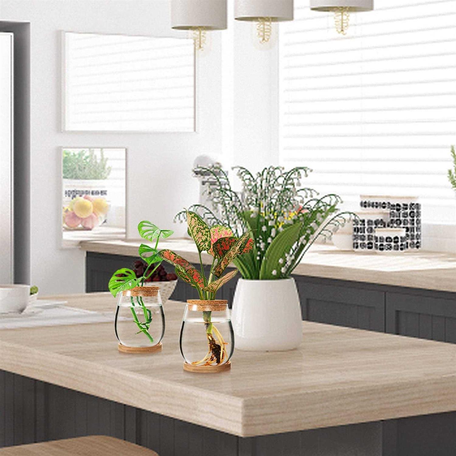 Biggun 2 Pcs Separated Desktop Plant Terrarium Plant Propagation Planter Water Station Planting glass Vase with Lid & Wooden Stand fo