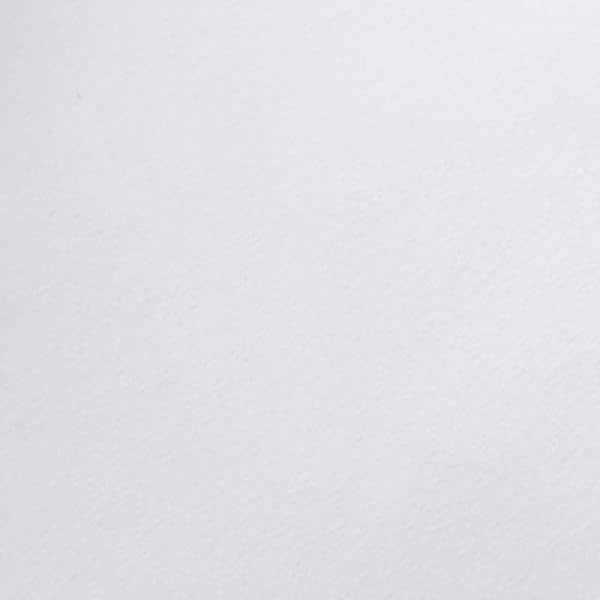 The Company Store Legends Luxury Down White