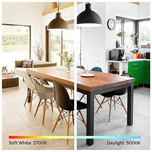 Basics Equivalent Non-Dimmable 10,000 Hour Lifetime