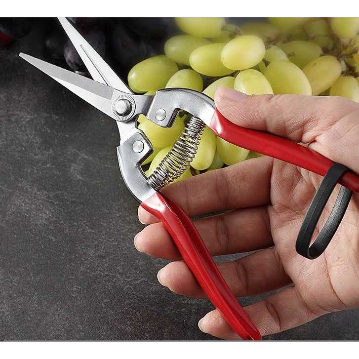 ARS Fruit Pruners 300L